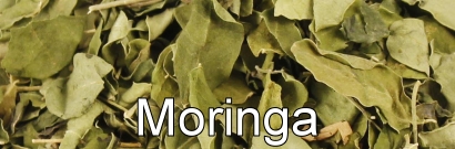 Moringa Tee